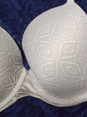 auden lacy gray bra